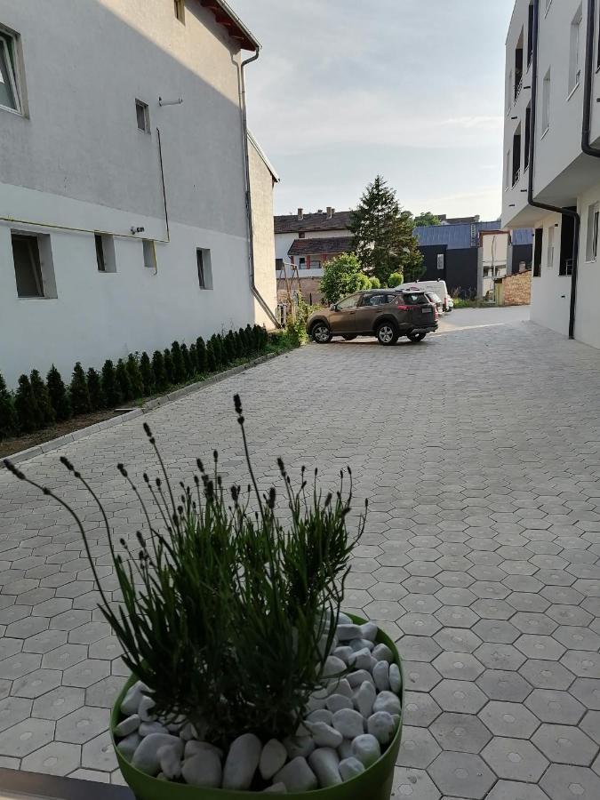 Apartman Stimac Petrovaradin Eksteriør bilde